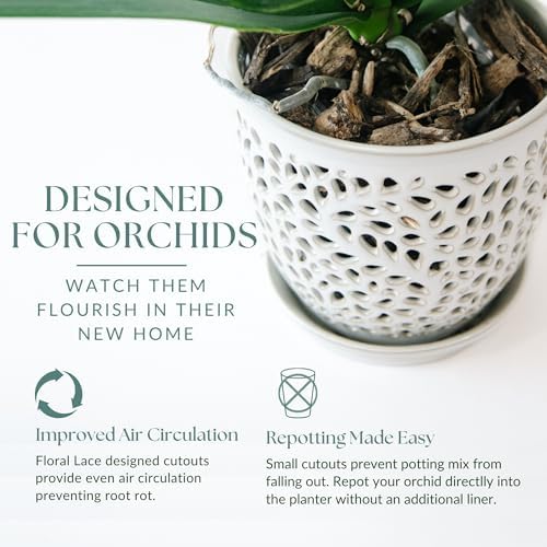 Elegant Orchid Pot with Holes, Large 6.5 inch Premium Porcelain Ceramic Orchid Pot for Repotting, Durable Ceramic Planter with Removable Saucer for Easy Drain, Planter Gifts for Moms - Image 5
