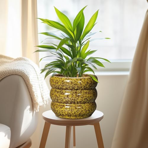 SQOWL Ceramic Planter - 8 Inch Indoor Plant Pot with Drainage Hole, Round Planter for Outdoor Plants, Ceramic Flower Pots, Bubble Planters, Home Room Porch Decor, Plant Lover Gifts, Yellow - Image 5