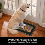 Evergreen Sassafras Fall Christmas Holiday Doormat Insert Bundle & Tray Set of 5, Interchangeable Entrance Door mats Indoor and Outdoor Welcome Mat 30 x 18 Tray Non Slip Backing Low Profile - Image 6