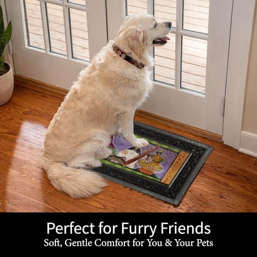 Evergreen Sassafras Fall Christmas Holiday Doormat Insert Bundle & Tray Set of 5, Interchangeable Entrance Door mats Indoor and Outdoor Welcome Mat 30 x 18 Tray Non Slip Backing Low Profile - Image 6