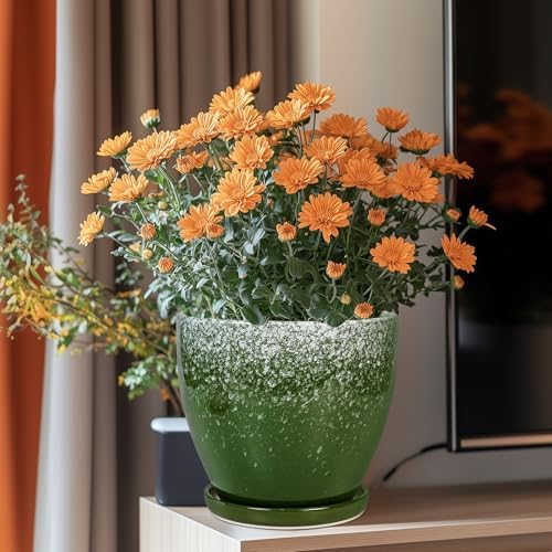 Ceramic Pots for Plants - 8 Inch Planter for Indoor Outdoor Plants, Round Planter, Large Flower Pot with Drainage and Saucer, Home Room Garden Office Decor, Birthday Gifts, Green - Image 2