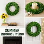 Preserved Boxwood Wreath 16 Inch – Real Greenery Spring Summer & Year-Round Indoor Décor, Farmhouse Wall Door & Mantel, Fade-Resistant - Image 6