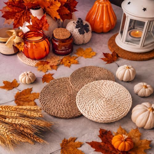 Lineshading 4 Pcs 12" Round Woven Mats for Centerpiece Fall Table Decor - Image 6