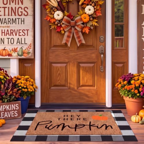 Moucuny 2 Pcs Fall Doormat Outdoor, Hey There Pumpkin Coir Mat, Non-Slip by Moucuny