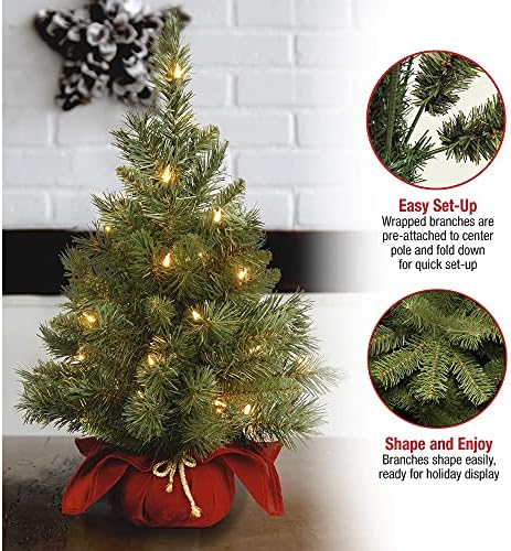 National Tree Company Pre-lit Artificial Mini Christmas Tree | Includes Small Lights and Cloth Bag Base | Majestic Fir - 2 ft - Image 2