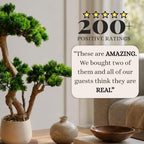 Artificial Bonsai Tree 26" Tall with Realistic Wood and Ceramic Pot, Fake Plants for Home, Bedroom and Office Desk, Japanese Decor - Image 5