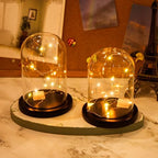 Suclain 4Pc Glass Dome Cloche with Wood Base, Black, 4.3/5.1/5.9/6.7 x 3.8 - Image 4