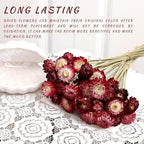MIHUAGE Dried Flower 40PCS Daisy Bouquet 100% Natural Chrysanthemum Dry Flower with Stem for Vase Home décor Party DIY Arrangement Wheat Straw Bulk (Burgundy) - Image 5