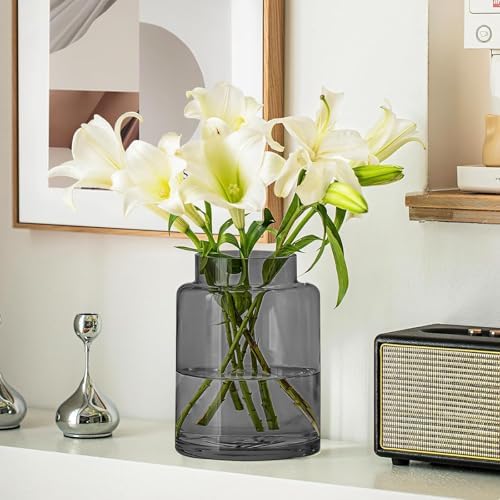 KOIUEYW 9 Inch Tall Vases for Flowers, Large Glass Vase for Centerpieces, Clear Glasses Home Decor Modern Jarrones Decorativos for Wedding Living Room Dining Table (Gray) - Image 3