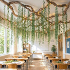 Yinder 80 Pcs Jungle Theme Decoration Set Classroom Decor, Ivy by Yinder