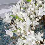 LLZLL White Wreath 20 Inch Winter Wreaths for Front Door Artificial Forsythia Wreath with White Berries for Winter Christmas Farmhouse Indoor Outdoor Porch Wall Window Decor - Image 4