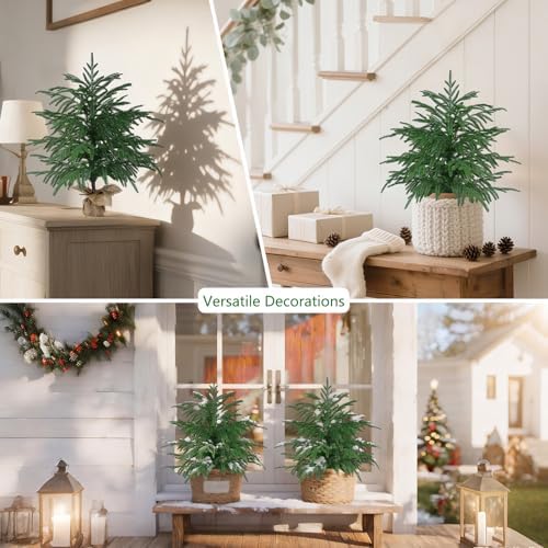 Grooy 2 Pack 2FT Artificial Norfolk Pine Tree with Pot - Image 7