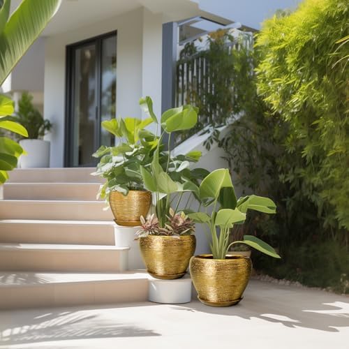 Flower Pots for Indoor & Outdoor Plants - Ceramic Pots 10 Inch, 8 Inch, 6 Inch with Drainage Holes, Saucers - Decorative Large Planters Set of 3 Gold - Image 5