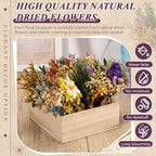 Layhit 24 Pcs Mini Dried Flower Bouquets Boho for Vase, Vivid - Image 6