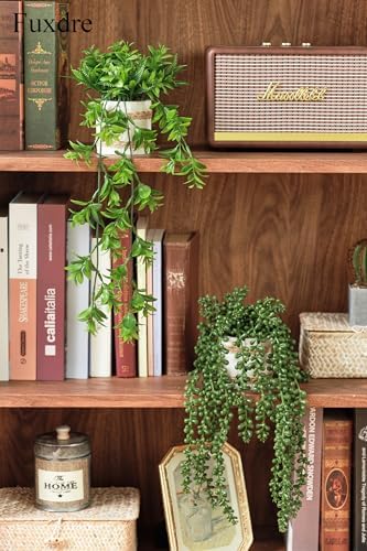 2 Pack Fake Hanging Plants, Faux Eucalyptus Vine Fern and String of Pearls - Image 4