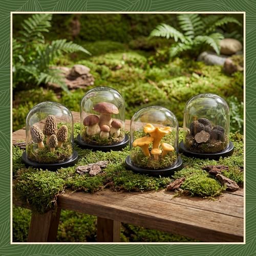 Suclain 4Pc Glass Dome Cloche with Wood Base, Black, 4.3" X 3.8" - Image 6