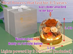 Long-Lasting Real Flowers - Unique Floral Gift For You To Send Love - Image 2