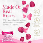 GLAMOUR BOUTIQUE Preserved Flowers, 27 Forever Velvet Pink Roses Heart Box - Image 4