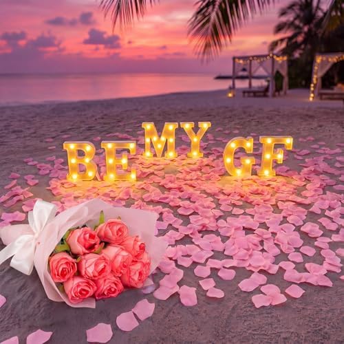 Ceenna Will You Be My Girlfriend Proposal Decoration Set,Pink,Classic - Image 2