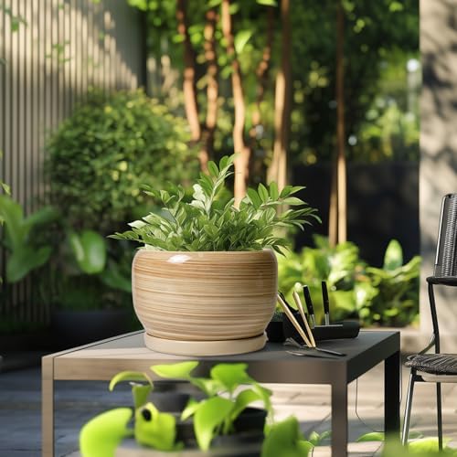 SQOWL Ceramic Plant Pot - 10 Inch Large Planter with Drainage Hole and Saucer, Round Modern Planter for Indoor Plant Outdoor, Decorative Ceramic Flower Pot, Porch Decor, Garden Gift for Women, Yellow - Image 5