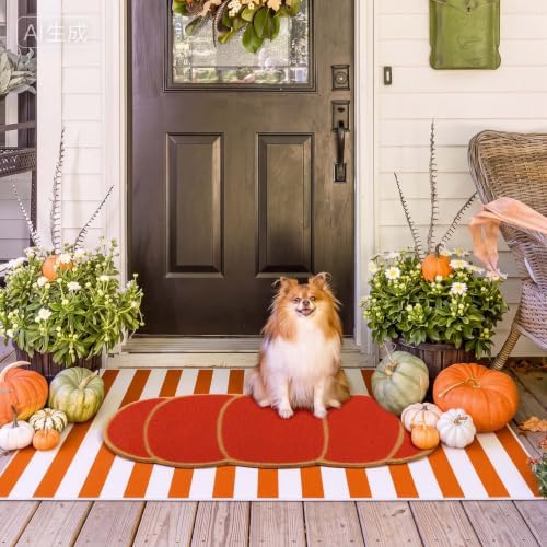 Moucuny 2 Pcs Long Fall Welcome Door Mat Outdoor, Non Slip Backing - Image 4