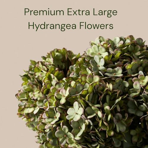 5 Stems Extra Large Green Hydrangea Artificial Flowers, 19 Inch Real Touch - Image 3