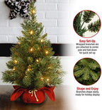 National Tree Company 24in Pre-Lit Majestic Fir Mini Christmas Tree - Image 4