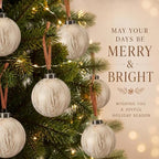 Yunlly 12 Pcs Neutral Christmas Ball Ornament, Rustic White, 3.15'' - Image 4