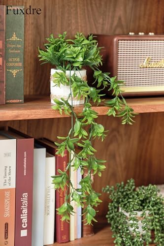 2 Pack Fake Hanging Plants, Faux Eucalyptus Vine Fern and String of Pearls - Image 7