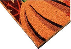 Calloway Mills Pumpkin Spice Outdoor Coir Doormat .Non Slip Vinyl Backing,(Multi, 24" x 36" x 0.60") - Image 5