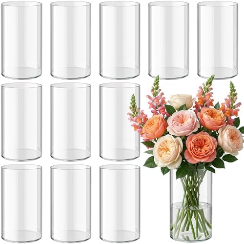 12pcs Glass Cylinder Vases for Centerpieces, 6 Inch Tall Flower Vase for Wedding Decorations, Hurricane Vases Floating Candle Holder for Table Centerpiece Wedding Home Décor by Unknown
