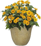 Classic Home and Garden Honeysuckle Resin Flower Pot Planter, Fossil Stone, 15" (Pack of 2) - Image 2