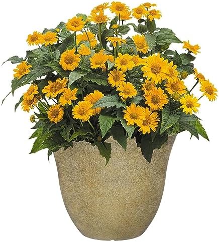Classic Home and Garden Honeysuckle Resin Flower Pot Planter, Fossil Stone, 15" (Pack of 2) - Image 2