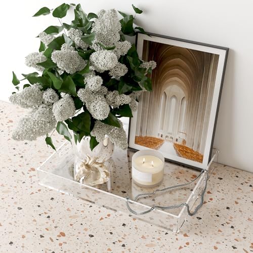ATZYmolin 16"x12" Large Acrylic Serving Tray, Vanity Platter, Clear - Image 7