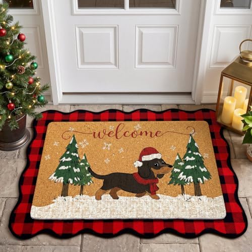 Lyrow 2 Pcs Welcome Doormat and Plaid Door Mat Anti-Slip Welcome Floor Mat by Lyrow