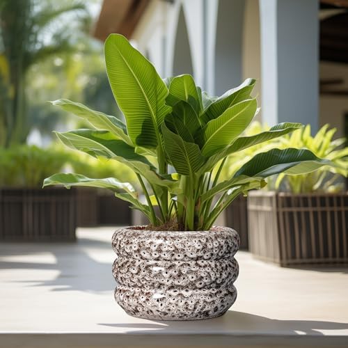 SQOWL Ceramic Flower Pots - 13.5 Inch Plant Pot with Drainage Hole, Large Ceramic Planter for Indoor Plants, Round Modern Planter Outdoor, Porch Home House Decor, Plant Lover Gifts, White - Image 5