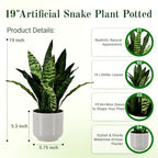 Fake Snake-19”tall Artificial Indoor Potted Plant for Home Decor-Green - Image 2
