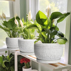 SQOWL Ceramic Plant Pots - 8 inch Planter for Indoor Plants, Round Flower Pot with Drainage Hole and Plant Saucer, Modern Decorative Ceramic Planter Outdoor, Home Room Decor, Garden Gifts, Gray - Image 6