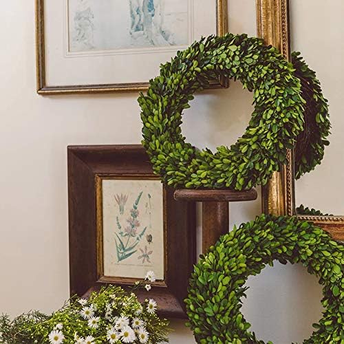 Boxwood Wreath Large 17 inch Preserved Nature Real Boxwood Wreath Home Decor Stay Fresh for Years Wreath for Christmas Thanksgiving Wedding Party Home Indoor Decor - Image 4