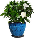 Ceramic Plant Pots With Saucer & Drainage Hole, 8 inch Indoor Flower Pots by Xoogifae