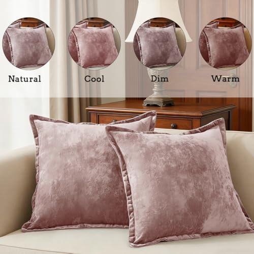 Luxurious Velvet Throw Pillow Covers 20x20 Set of 2 Decorative Pillow Covers Solid Square Cushion Case for Sofa Couch Bedroom Farmhouse, Pink - Image 2