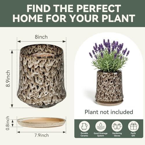 8 Inch Ceramic Planter Pot with Saucer Drainage Leak-Proof Mesh,Flower Pots for Lavender with Gardening Gloves,Ceramic Planter for Orchid(Spotted White) - Image 6