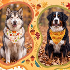 Abbylike 50 Pcs Fall Dog Bandanas Bulk Autumn Leaf Pumpkin Acorn Mushroom - Image 4