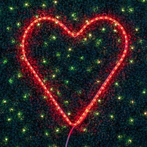 Novelty Lights LED Red Valentine's Day Heart Rope Light Motif Sculpture, Valentine's Day Decoration - Image 2