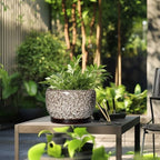 SQOWL Ceramic Plant Pots - 10 Inch Planter for Indoor Plants Outdoor, Large Flower Pots with Drainage Hole and Saucer, Decorative Round Planter, Apartment Decor, Garden Gifts for Women, White - Image 5