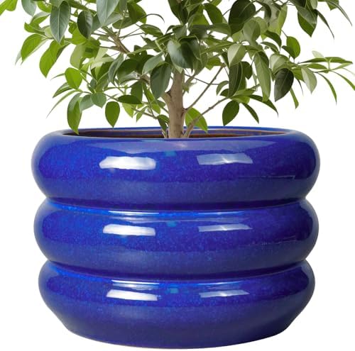 SQOWL Ceramic Plant Pot - 10 Inch Planter for Outdoor Plants Indoor Plant Pot with Drainage Hole Large Planter Decorative Modern Flower Pot for Home Office Decor Blue by SQOWL