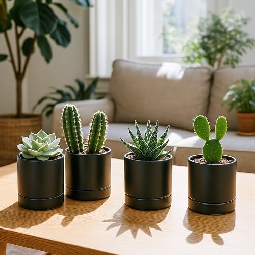 D'vine Dev 4-Pack Ceramic Pots with Saucers, Black, 4.7 in, 94-X-B-2 - Image 2