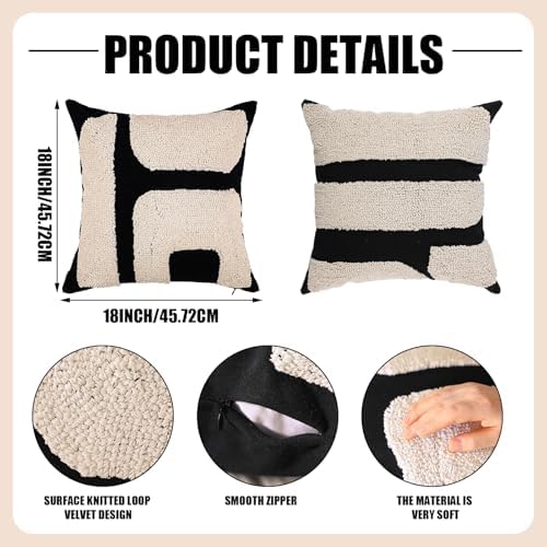 Oudain Tufted Pillow,Classic Style,Black,White,18 X 18 Inch - Image 2
