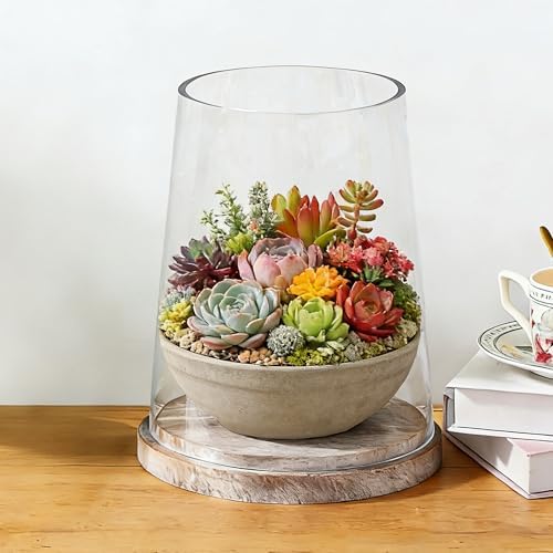 8" Wide Glass Hurricane Candle Holders with Handmade Sturdy Glass Sleeves and Distressed Brown Wood Base for Pillar Candle & Plants, Industrial, Farmhouse, Display Cloche Bell Jars, Table Centerpiece - Image 6