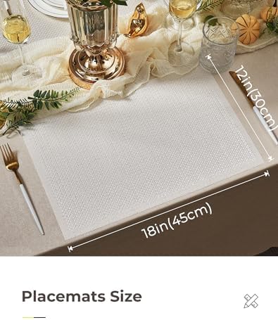 Leetaltree Woven Vinyl Placemats Set of 24, White Sequin - Image 4